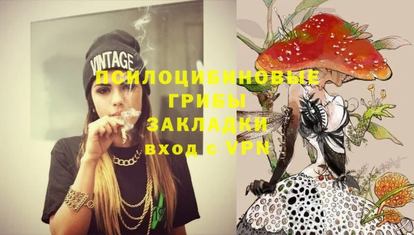 альфа пвп Нея