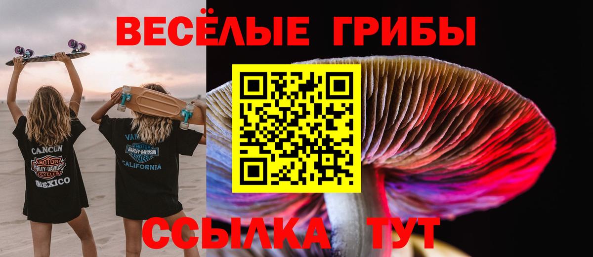 Псилоцибиновые грибы Cubensis Лангепас